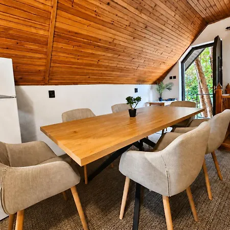 Homestay szállás Oázis
